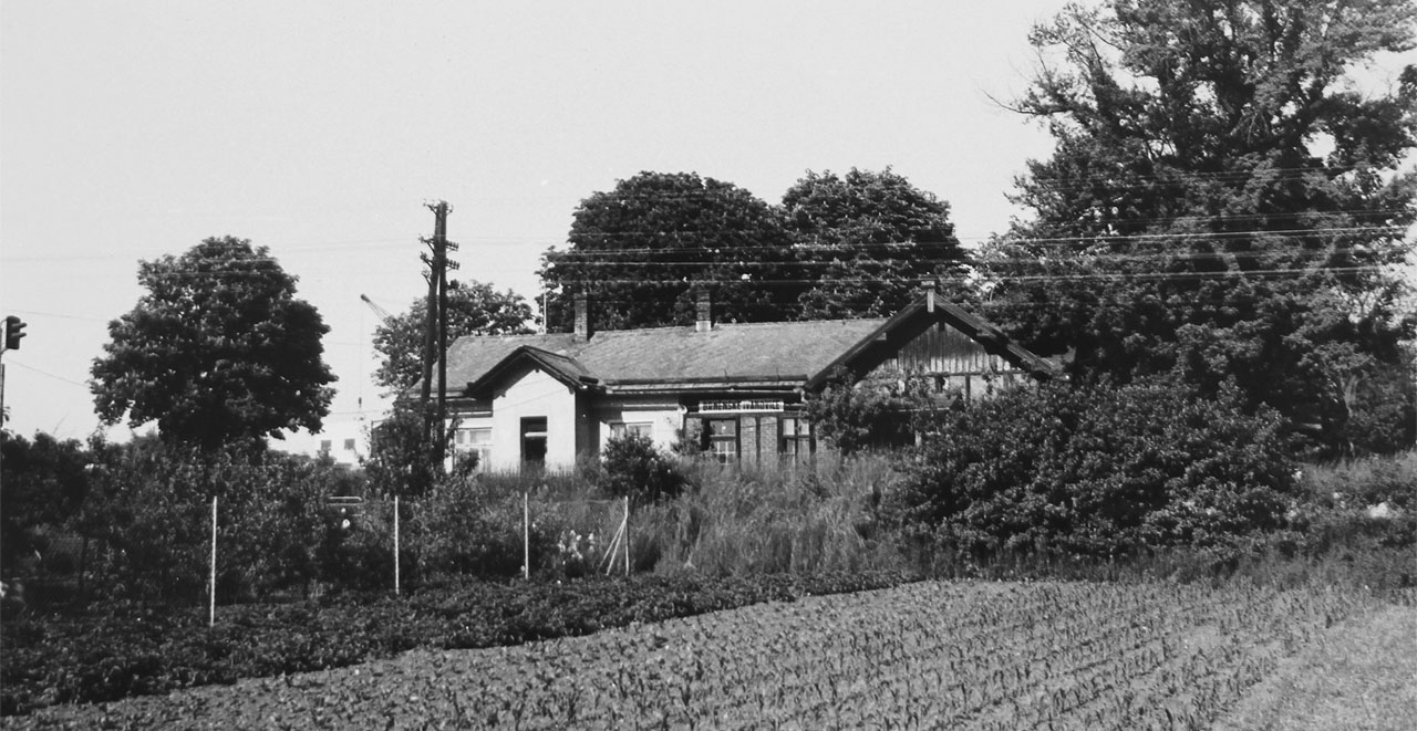 Na fotografii z Archivu města Brna je zachycena zastávka Brněnské Ivanovice z prostoru od Popelovy ulice zřejmě v 70. létech 20. století. Na fotografii z Archivu města Brna je zachycena zastávka Brněnské Ivanovice z prostoru od Popelovy ulice zřejmě v 70. létech 20. století.