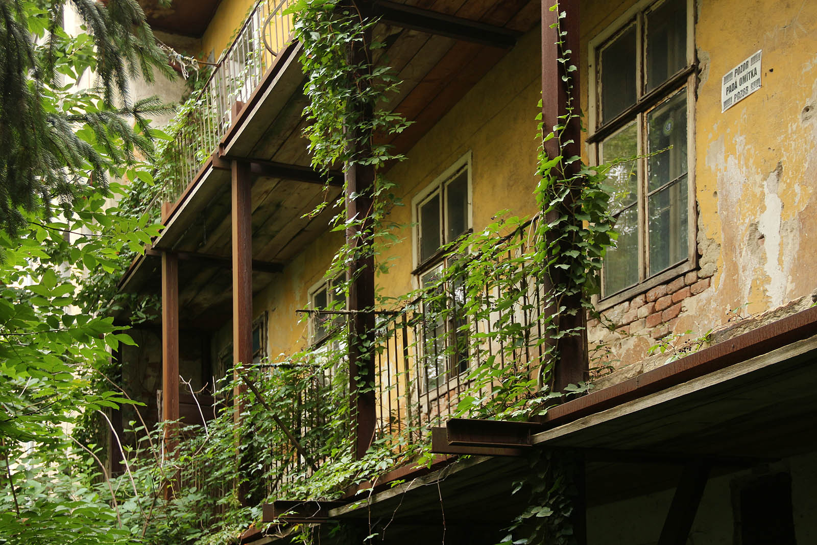 Jak řekl kdysi slavný americký architekt Frank Lloyd Wright: „Lékař může své chyby pohřbít, ale jediné, co zmůže architekt, je poradit svému klientovi, aby vysadil psí víno.“ Možná, kdyby někdo dům opravil v podobě, zachovávají veškeré rostlinstvo, mohl by v příštím roce získat Pritzkerovu cenu. Jak řekl kdysi slavný americký architekt Frank Lloyd Wright: „Lékař může své chyby pohřbít, ale jediné, co zmůže architekt, je poradit svému klientovi, aby vysadil psí víno.“ Možná, kdyby někdo dům opravil v podobě, zachovávají veškeré rostlinstvo, mohl by v příštím roce získat Pritzkerovu cenu.