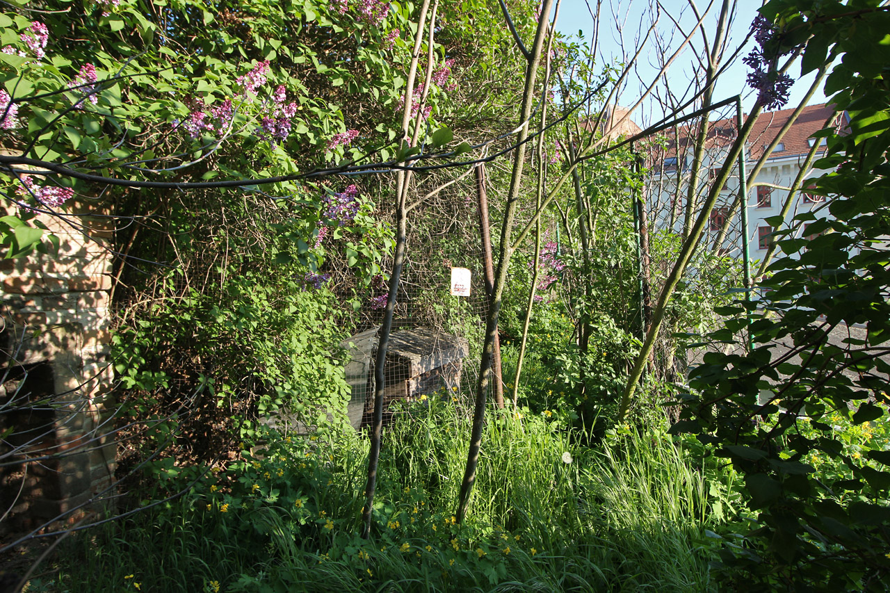 Tady se čas zastavil. Tady se čas zastavil.