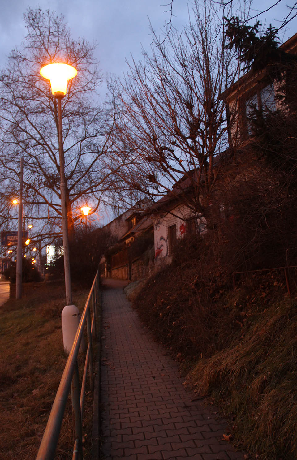 Lampy tu ještě pár týdnů budou svítit, ale po chodníčku k bývalé kolonii už nikdo nechodí. Lampy tu ještě pár týdnů budou svítit, ale po chodníčku k bývalé kolonii už nikdo nechodí.