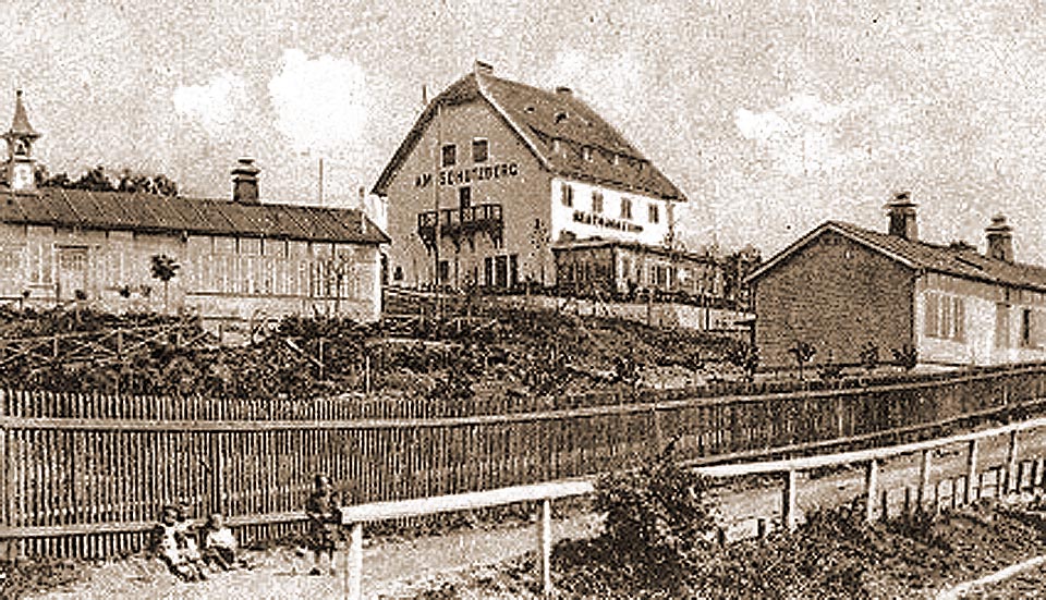 Hošnova vila
