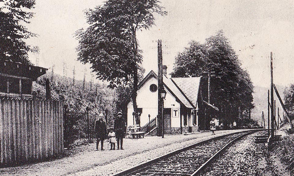 Jehnice (žzast)
