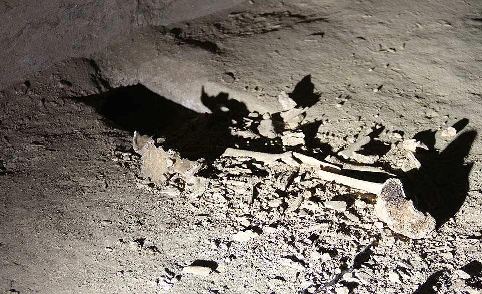 V době rekonstrukce kostnice pod kostelem svatého Jakuba (2011) byl kryt používán pro skladování ostatků zemřelých. Přesto, že posléze došlo k důkladnému vyklizení krytu, několik lidských kostí zapadlo do otvorů v podlaze, ze kterých je po létech vyhrabali hlodavci. Kryt tak má svoje strašidelné tajemství. V době rekonstrukce kostnice pod kostelem svatého Jakuba (2011) byl kryt používán pro skladování ostatků zemřelých. Přesto, že posléze došlo k důkladnému vyklizení krytu, několik lidských kostí zapadlo do otvorů v podlaze, ze kterých je po létech vyhrabali hlodavci. Kryt tak má svoje strašidelné tajemství.