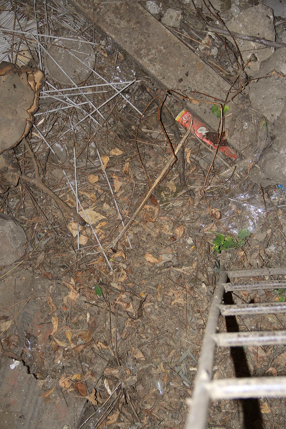 V úzkém válcovém protoru není možné zaostřit na žádnou ze stěn - jediný pohled je dolů. V úzkém válcovém protoru není možné zaostřit na žádnou ze stěn - jediný pohled je dolů.