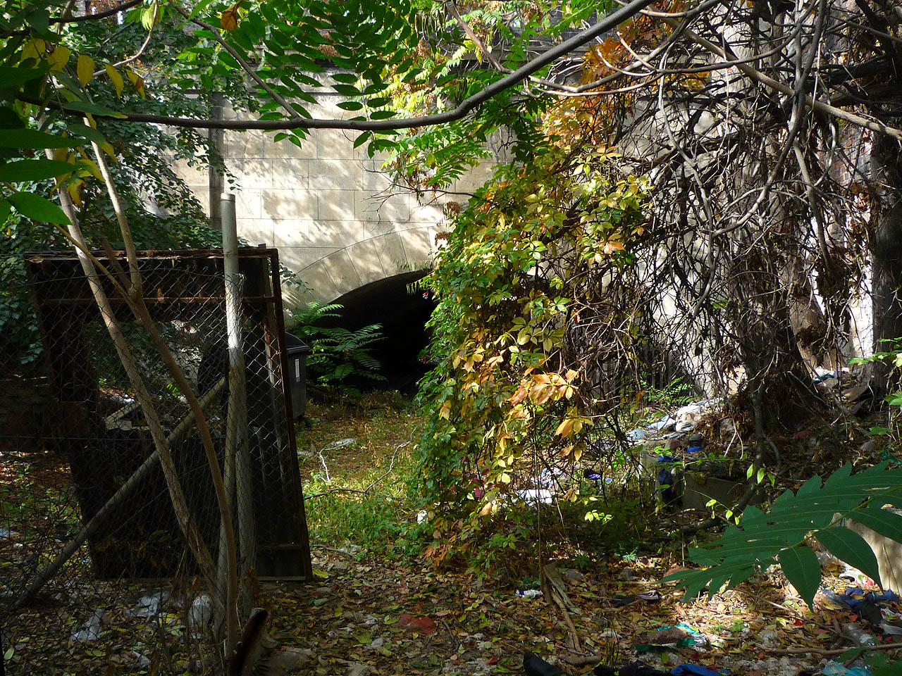 Tunely Svrateckého náhonu pod hlavním nádražím jsou vlastně dva. Toto je pohled od východu na západní tunel (vedoucí ke dnešní hospodě Na dráze). Prostor, ze kterého je snímek focen, tvoří absolutně odvrácenou tvář města, pravý vstup do Druhého Brna. Spustit se do něj dá shora pouze na laně. Tunely Svrateckého náhonu pod hlavním nádražím jsou vlastně dva. Toto je pohled od východu na západní tunel (vedoucí ke dnešní hospodě Na dráze). Prostor, ze kterého je snímek focen, tvoří absolutně odvrácenou tvář města, pravý vstup do Druhého Brna. Spustit se do něj dá shora pouze na laně.