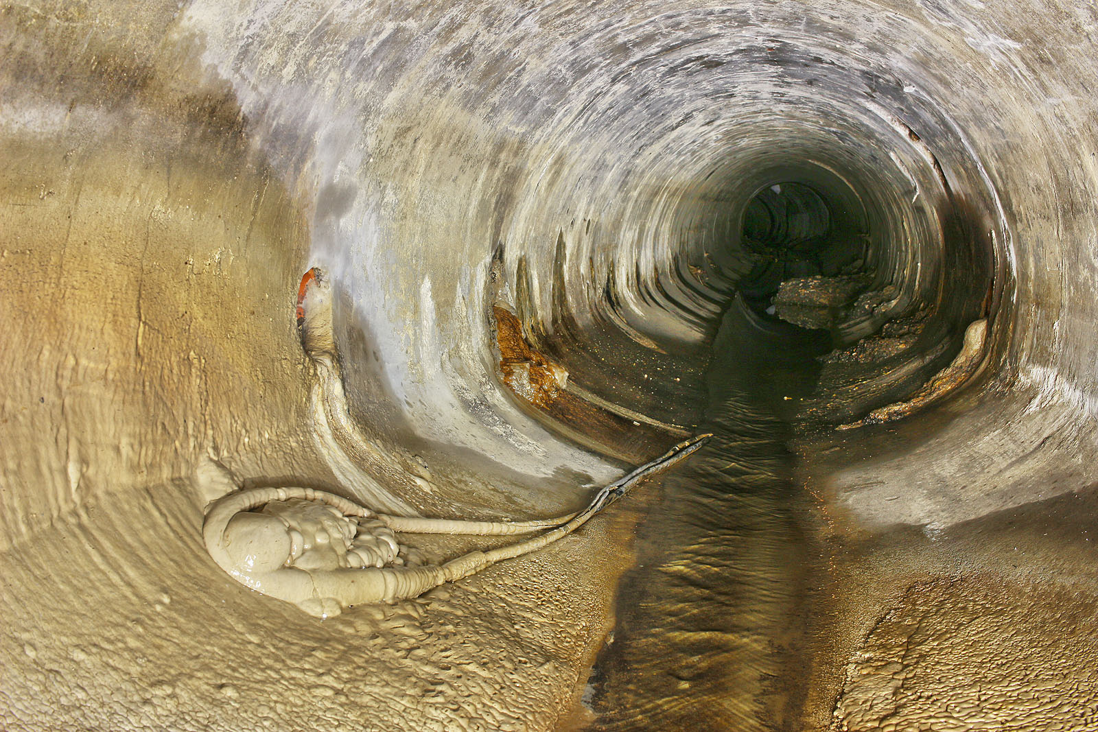 Nejšílenější překvapení ale čeká na návštěvníka v dolní části tunelu, zhruba naproti Saidově ulici. Na počvě se povaluje cosi, co vypadá jako kříženec trilobita s vetřelcem. Nejšílenější překvapení ale čeká na návštěvníka v dolní části tunelu, zhruba naproti Saidově ulici. Na počvě se povaluje cosi, co vypadá jako kříženec trilobita s vetřelcem.