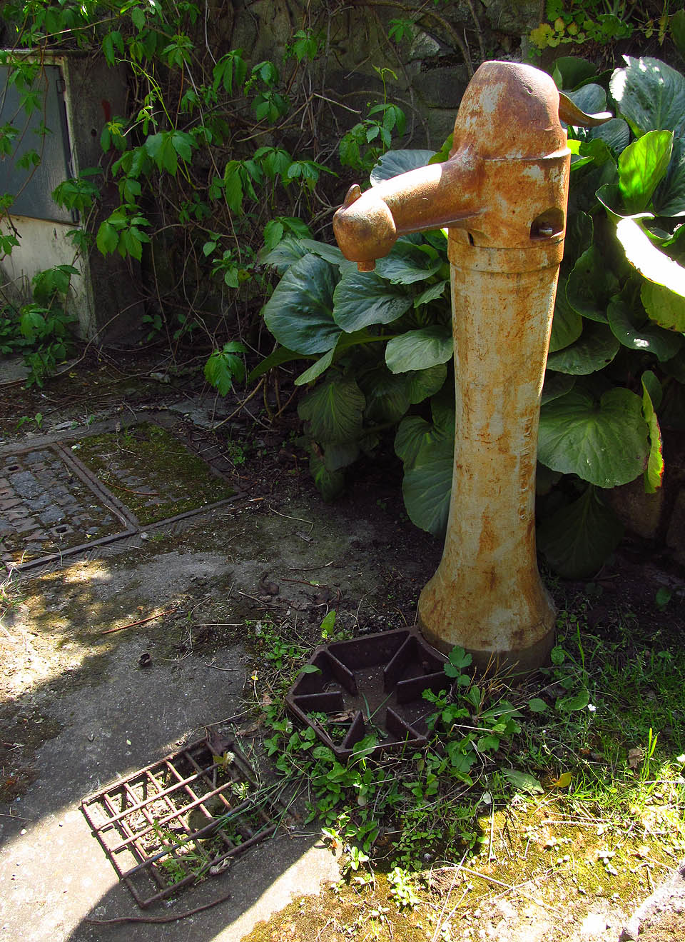 Nepostradatelný hydrant, který nesměl chybět v žádné z kolonií. Nepostradatelný hydrant, který nesměl chybět v žádné z kolonií.
