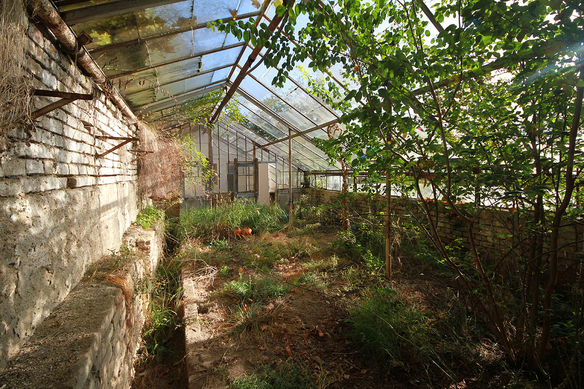 Prosluněný svah obrácený tím nejlepším možným směrem jako by k vybudování skleníků přímo vybízel. Příjemně teplé klima i v pokročilém podzimu podporuje nejen orientace ke slunci, ale také poloha částečně zapuštěná ve svahu, který chrání skleníky před větrem a akumuluje teplo. Prosluněný svah obrácený tím nejlepším možným směrem jako by k vybudování skleníků přímo vybízel. Příjemně teplé klima i v pokročilém podzimu podporuje nejen orientace ke slunci, ale také poloha částečně zapuštěná ve svahu, který chrání skleníky před větrem a akumuluje teplo.