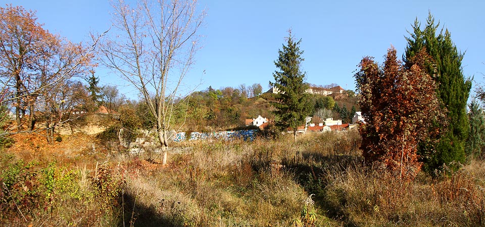 Nad bývalou Falkensteinerovou cihelnou mezi ulicí Úvoz a Pivovarskou uličkou v Brně vznikla na troskách zahrádkářské kolonie nad hliníkem podivná „Země Nikoho“. Nad bývalou Falkensteinerovou cihelnou mezi ulicí Úvoz a Pivovarskou uličkou v Brně vznikla na troskách zahrádkářské kolonie nad hliníkem podivná „Země Nikoho“.