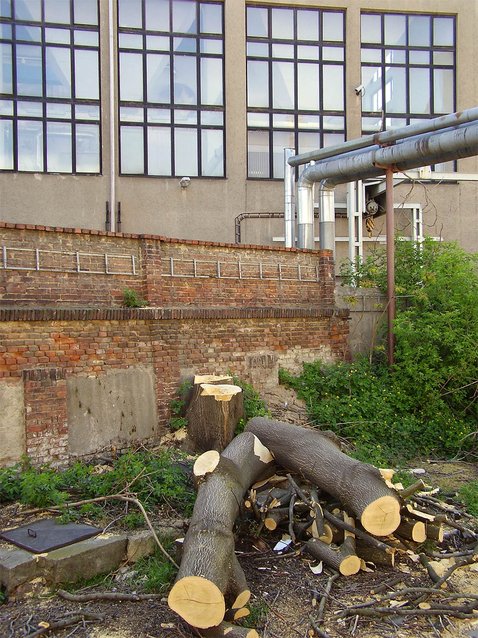 Demolici vždy zahajuje vykácení stromů. Nejinak tomu bylo v roce 2007 v brněnské továrně Kras. Demolici vždy zahajuje vykácení stromů. Nejinak tomu bylo v roce 2007 v brněnské továrně Kras.