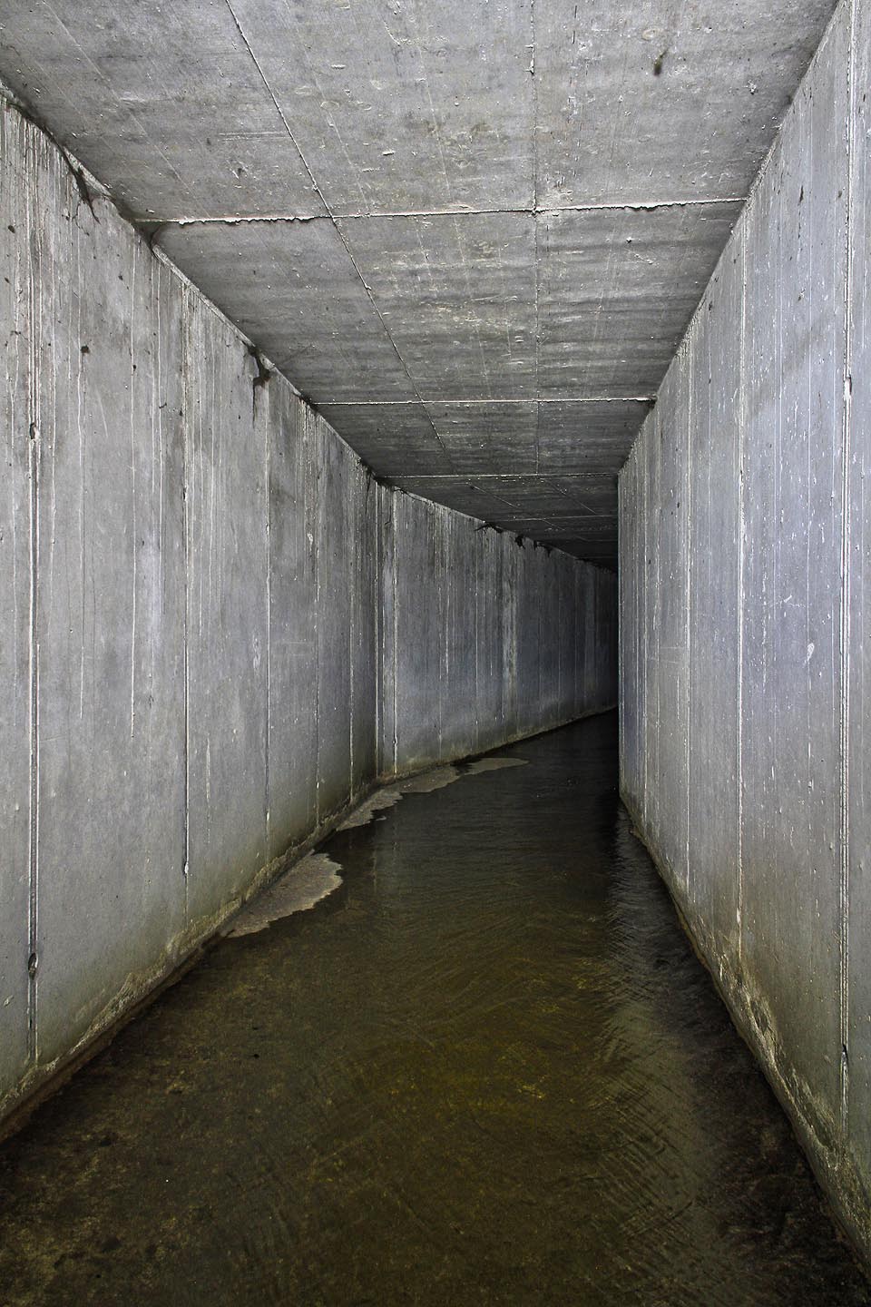 Vstupní (nejmladší a nejnižší) úsek tunelu je tvořen sterilní betonovou chodbou pod Podhorní ulicí. Vstupní (nejmladší a nejnižší) úsek tunelu je tvořen sterilní betonovou chodbou pod Podhorní ulicí.