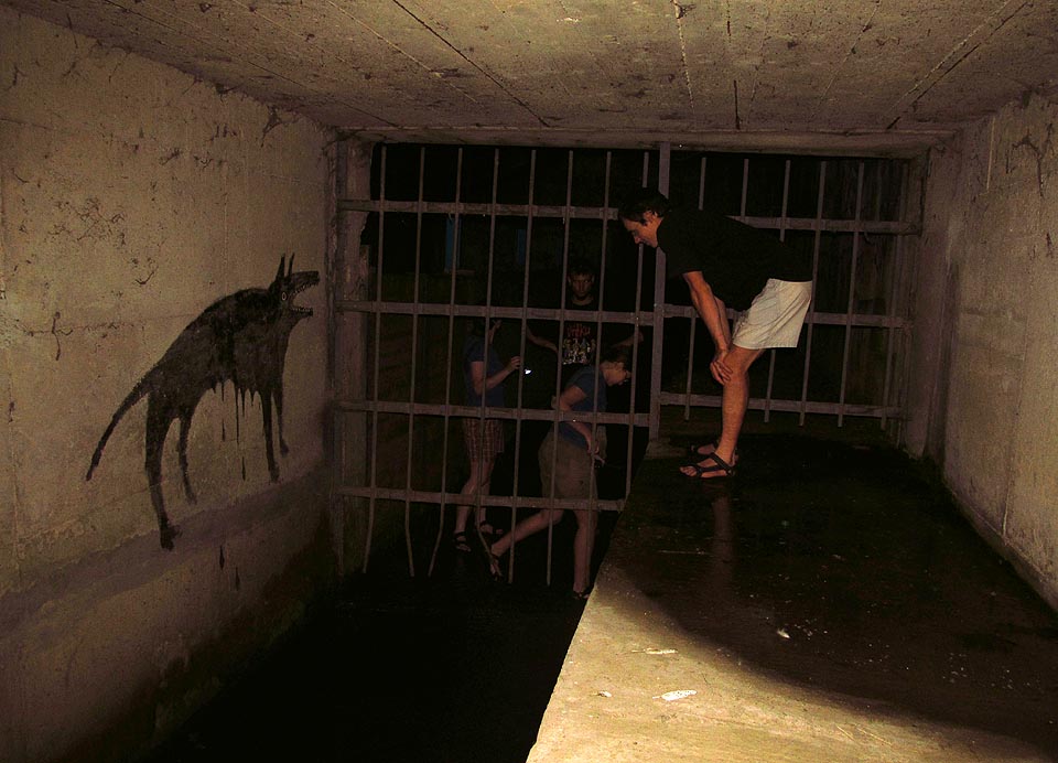 Nezbývá, než si posvítit bleskem a jeho zablikáním se rozloučit s jedním z nejdelších brněnských tunelů. Nezbývá, než si posvítit bleskem a jeho zablikáním se rozloučit s jedním z nejdelších brněnských tunelů.