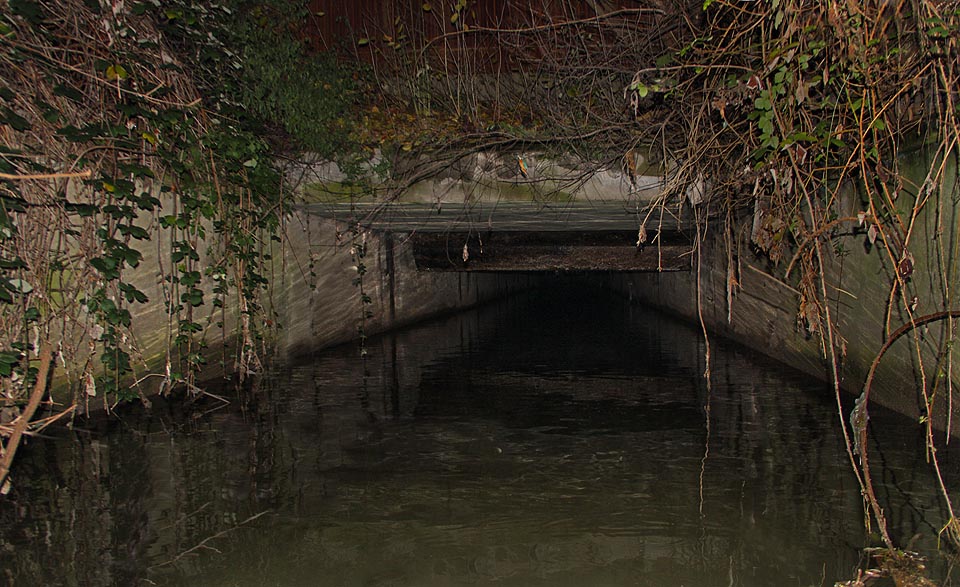 A to je on. Tunel, který ústí pod Mlýnskou ulicí v hustém křoví za zdí, přes kterou není vidět. Sem se dá dostat jen na lodi - a to platí i uvnitř. Hladina zatuchlé vody ode zi ke zdi a představy, co by se stalo, kdyby se loď překlopilaa, však nejsou to, co nás děsí nejvíce. Teprve sílící hukot valící se vody kdesi před námi a podivné proudy, které nás nečekaně a nesmyslně i s lodí vtahují dovnitř, nám mírně naženou strach. A to je on. Tunel, který ústí pod Mlýnskou ulicí v hustém křoví za zdí, přes kterou není vidět. Sem se dá dostat jen na lodi - a to platí i uvnitř. Hladina zatuchlé vody ode zi ke zdi a představy, co by se stalo, kdyby se loď překlopilaa, však nejsou to, co nás děsí nejvíce. Teprve sílící hukot valící se vody kdesi před námi a podivné proudy, které nás nečekaně a nesmyslně i s lodí vtahují dovnitř, nám mírně naženou strach.