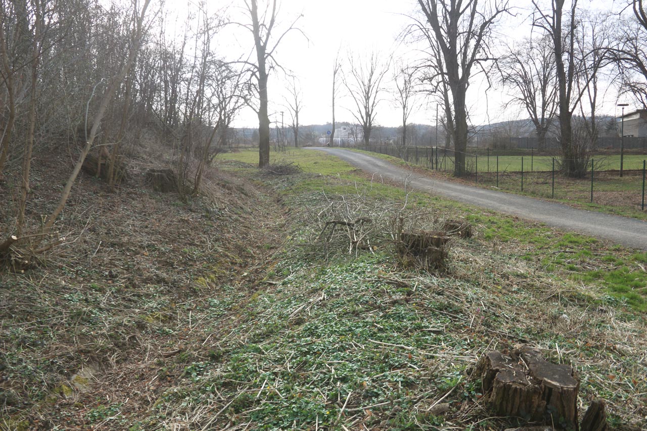 Cyklostezka podél Bobravy před napojením na Družstevní ulici v želešicích. Cyklostezka podél Bobravy před napojením na Družstevní ulici v želešicích.