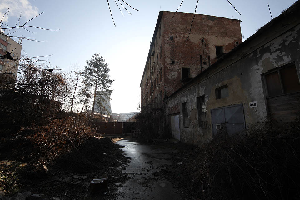 Z opačné strany, za budovou Cejl 14, se rozkládá několik více či méně pralesních dvorů a dvorků navzájem oddělených vysokými zdmi a roky uzamčenými vraty. Jižněji se pak nachází psí chovná stanice, což dohromady nečiní z oblasti vhodné místo k návštěvě. Z opačné strany, za budovou Cejl 14, se rozkládá několik více či méně pralesních dvorů a dvorků navzájem oddělených vysokými zdmi a roky uzamčenými vraty. Jižněji se pak nachází psí chovná stanice, což dohromady nečiní z oblasti vhodné místo k návštěvě.